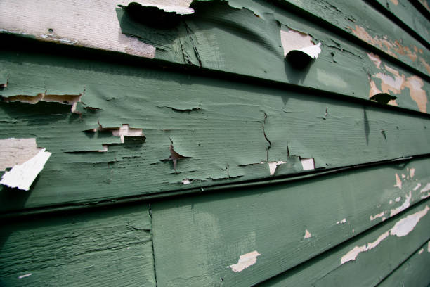 Historical Building Siding Restoration in Bolindale, OH